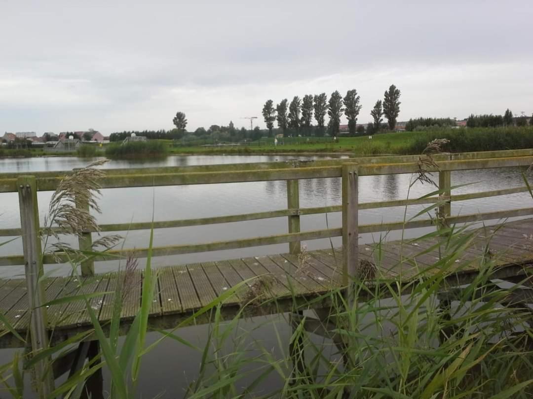 Stacaravan 4Pers In Bredene Met Eigen Tuintje 2449 Exteriér fotografie